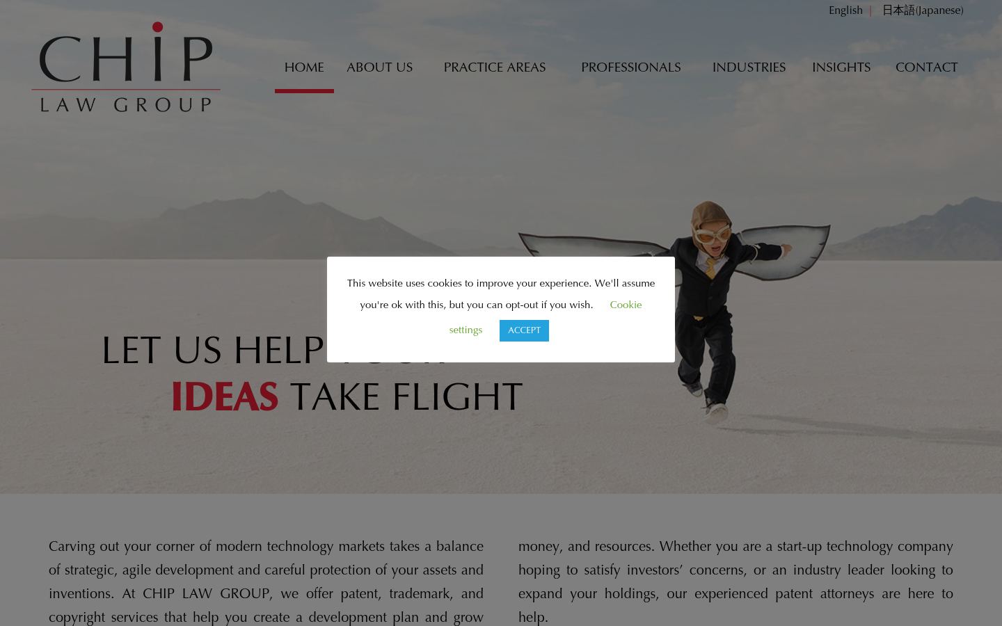 Chip Law Group &middot; HOMEPAGE_SCREENSHOT