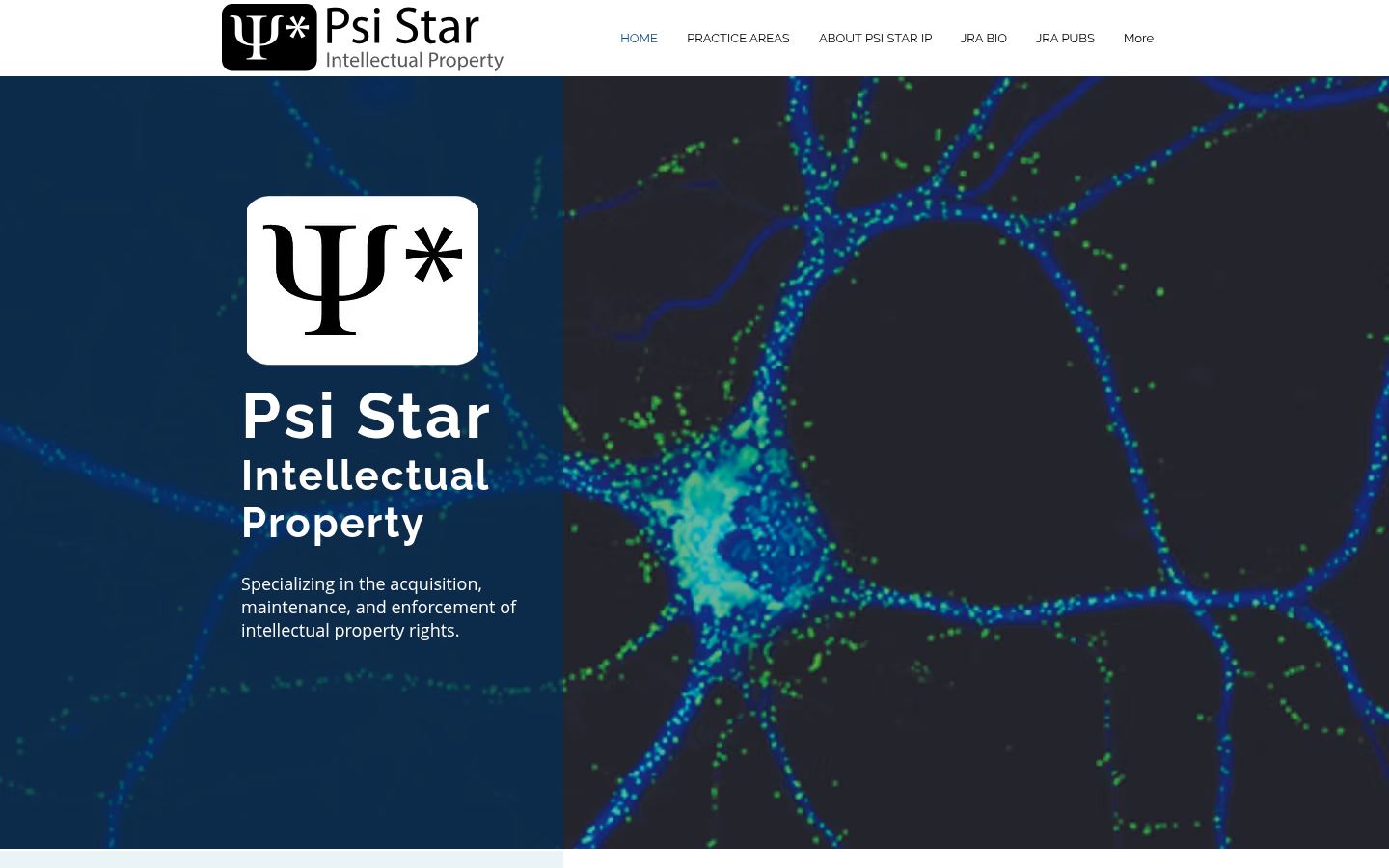 Psi Star Intellectual Property LLC · HOMEPAGE_SCREENSHOT