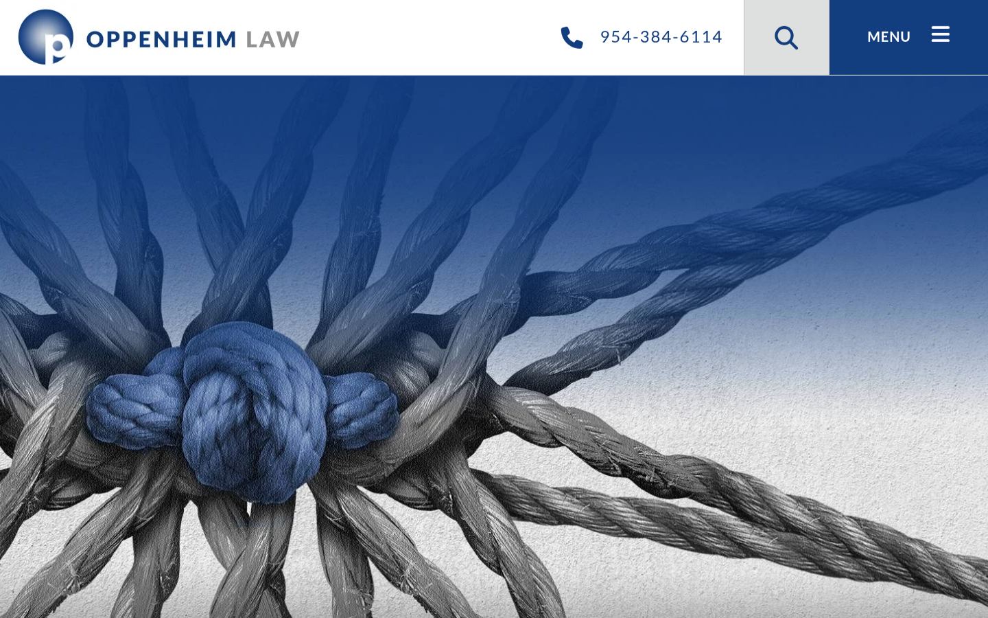 Oppenheim Law &middot; HOMEPAGE_SCREENSHOT